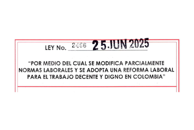 portada Ley 2466
